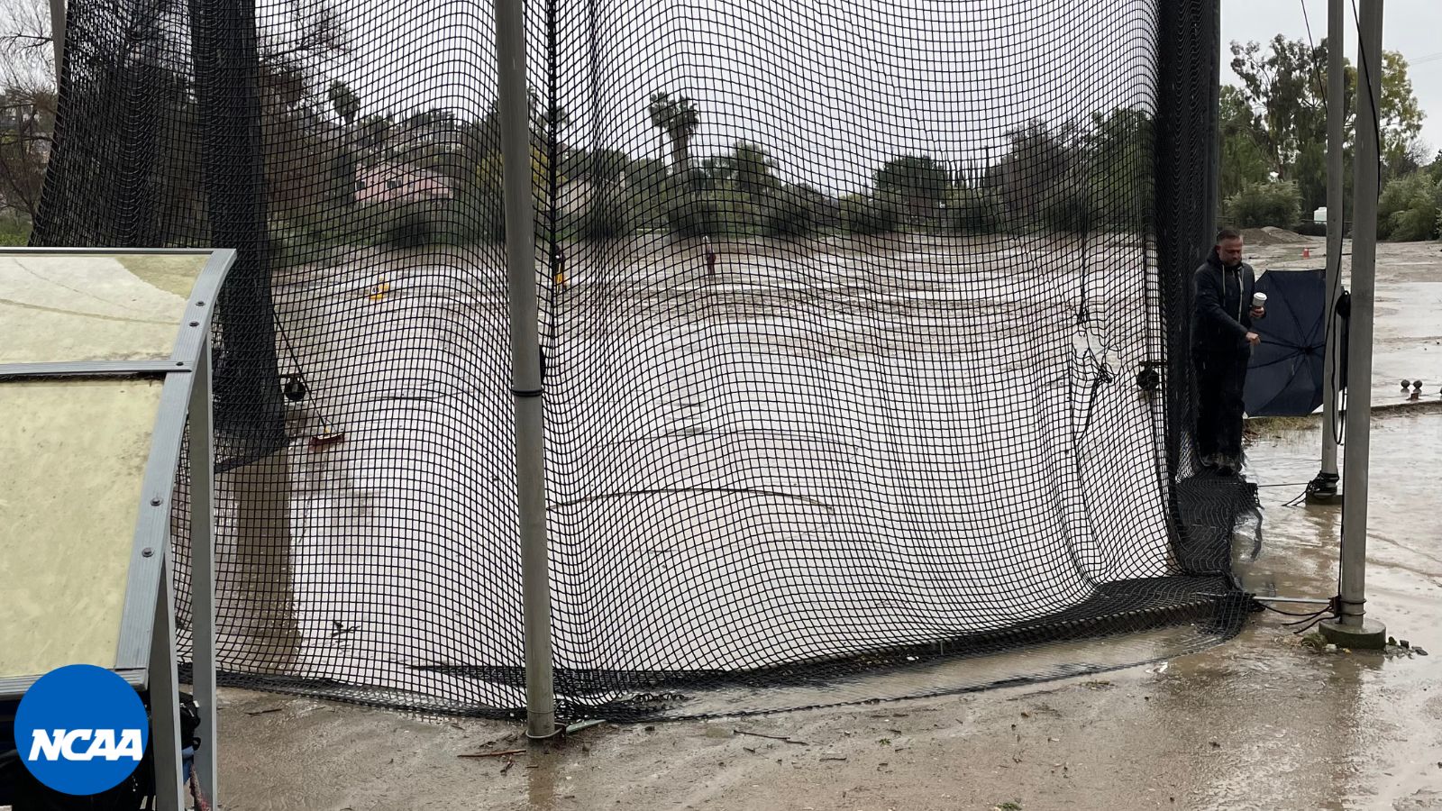 Rains Storms Can't Slow Leopards