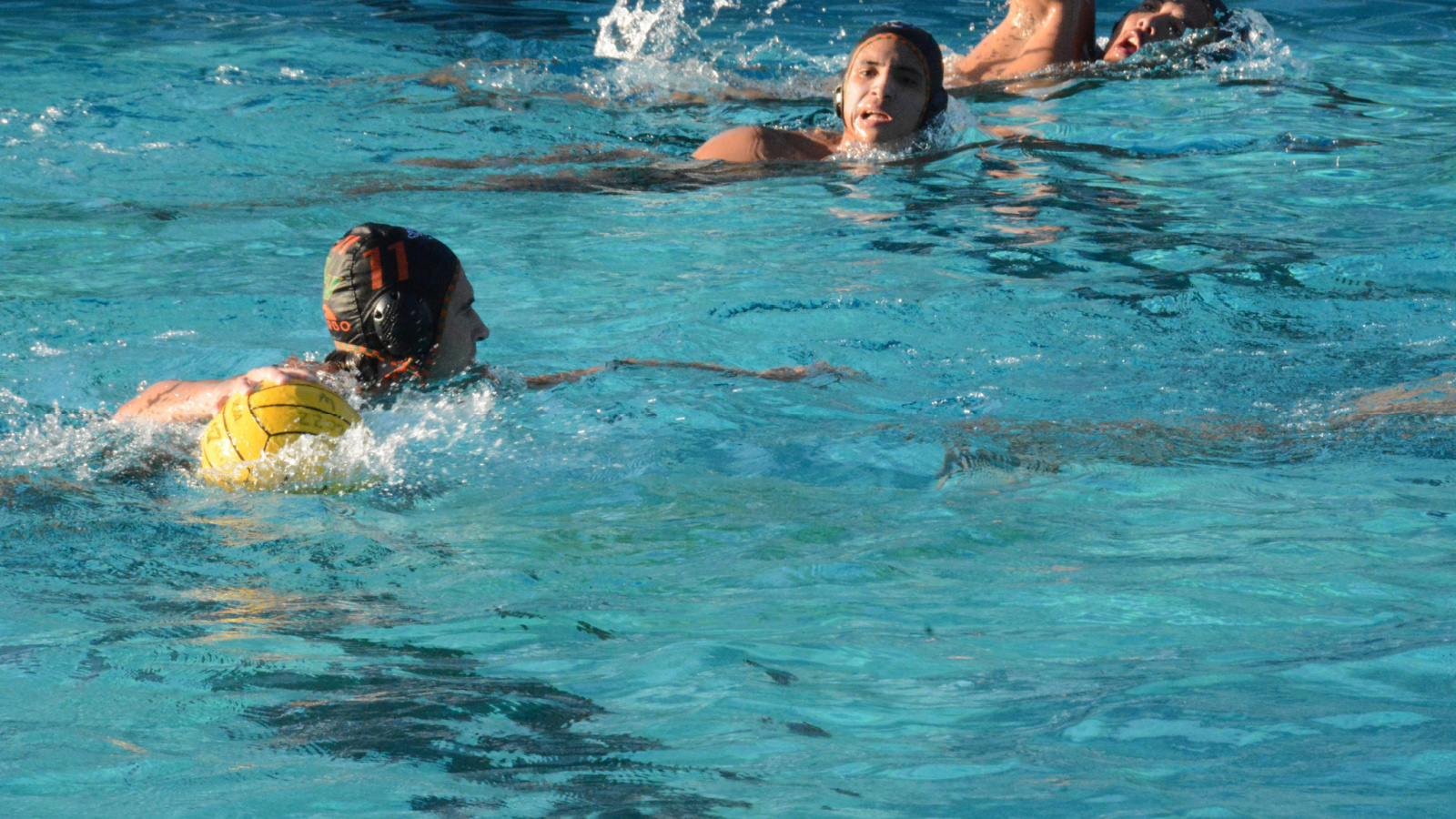 Tigers And Leopards Collide At Las Flores