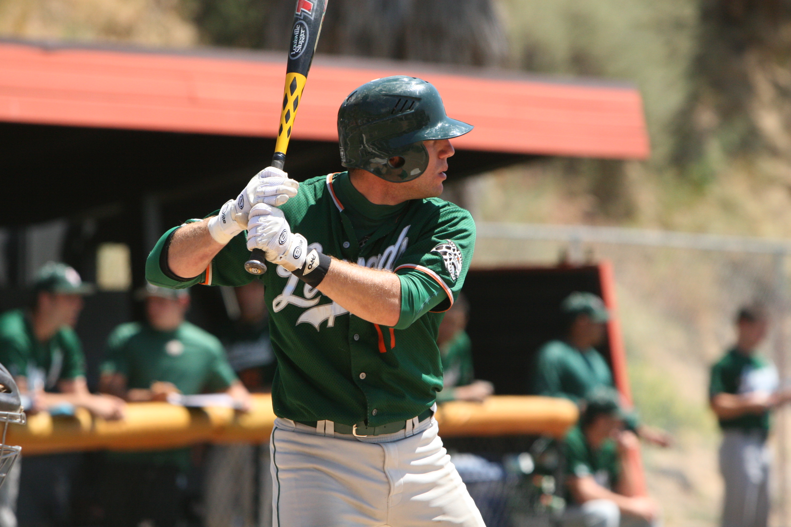 Baseball Season Preview