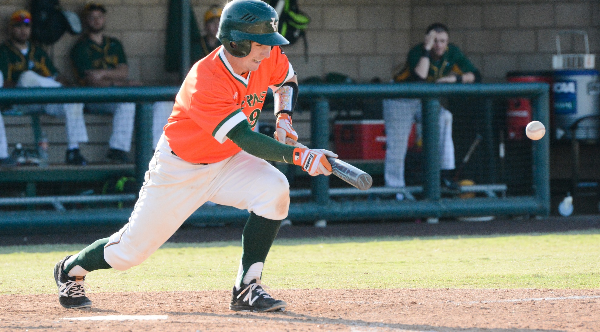 Baseball bounces back, cruises past Southern Vermont 10-0