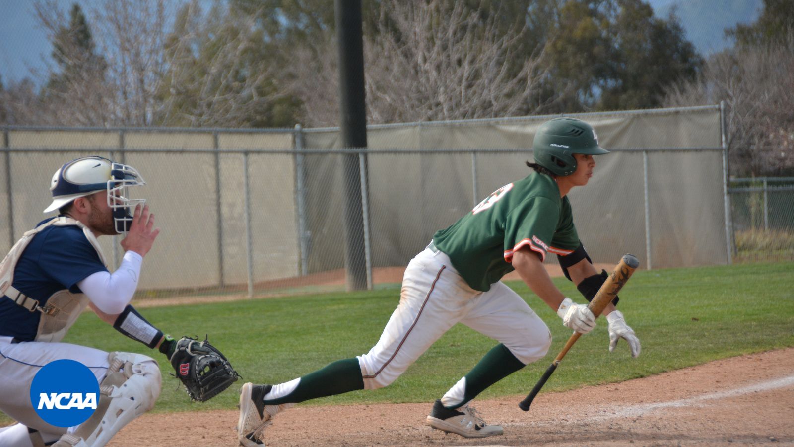 Leopards Split With Endicott