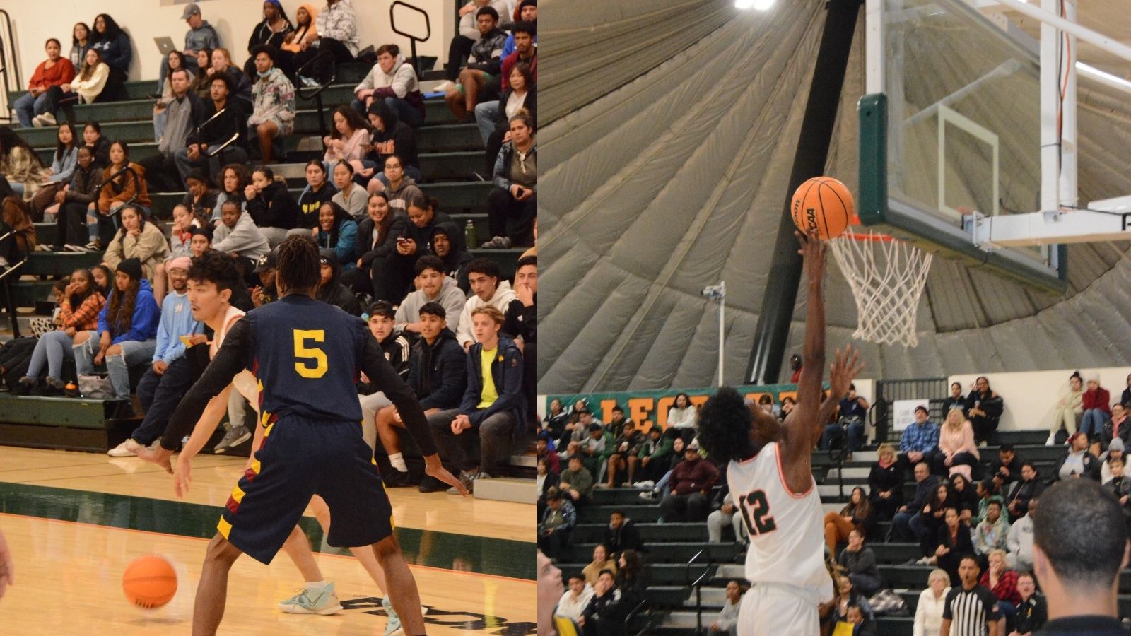 Leopards Snare Falcons
