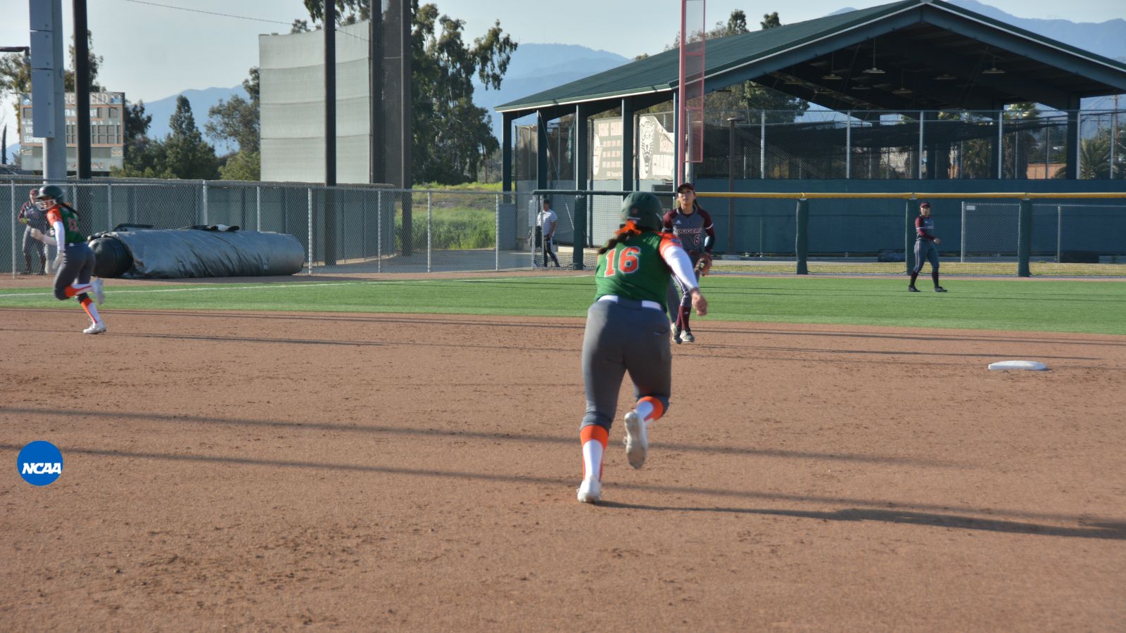 Leopards Sweep Puget Sound