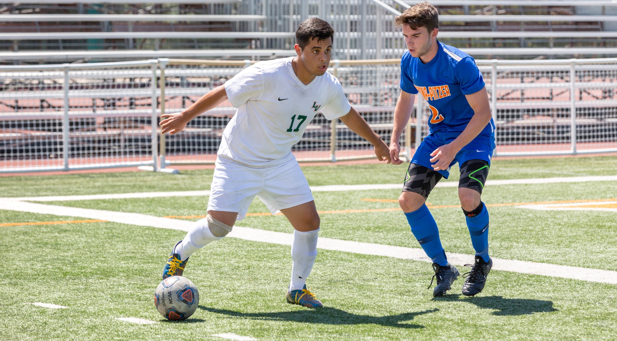 Leopards fall on the road to Poets