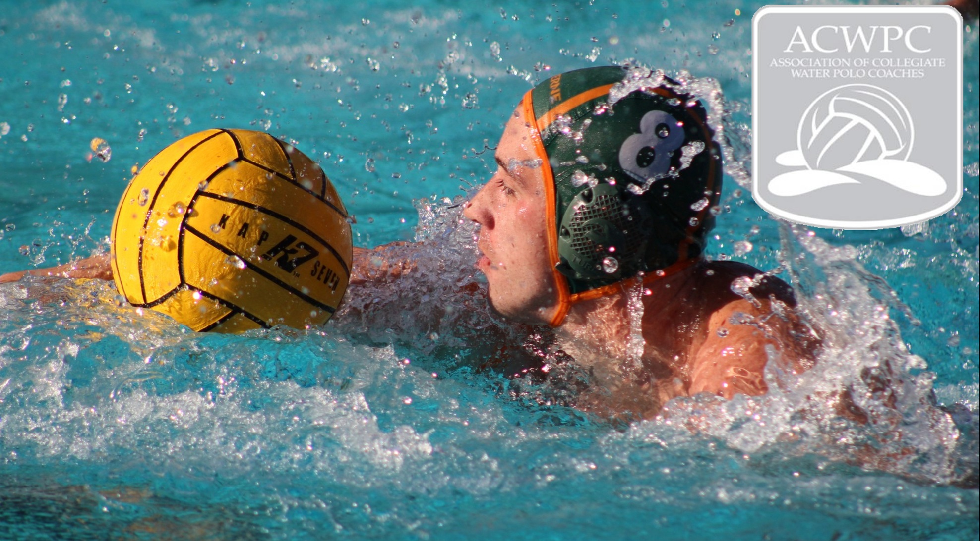 Castillo named ACWPC All-American