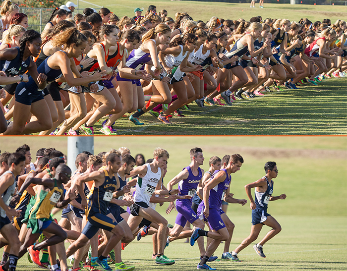Hayes, Ramirez compete at NCAA Championships