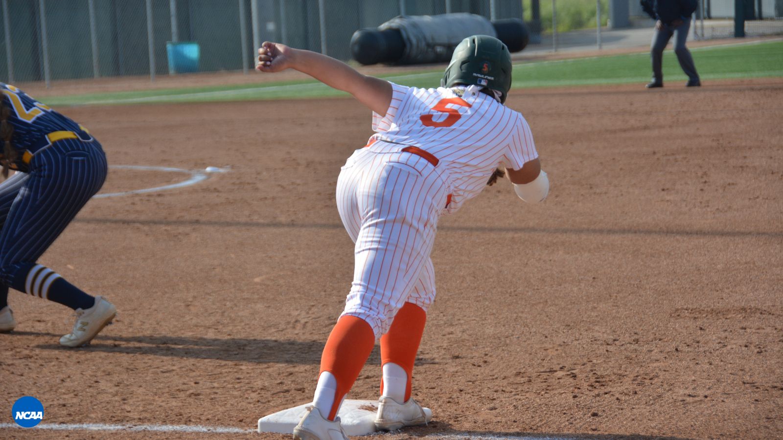 Leopards Sweep Beavers