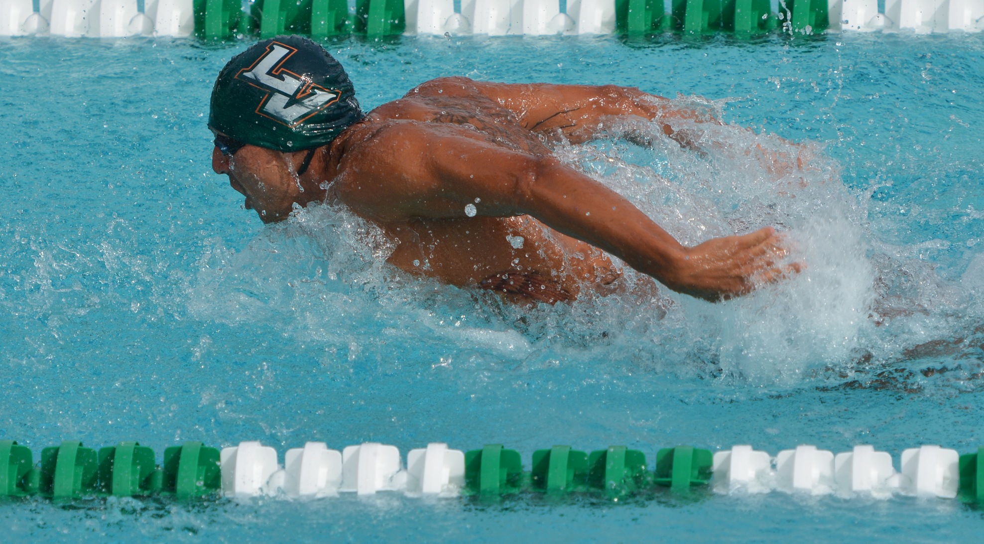 Tim Polman named CSCAA Scholar All-American