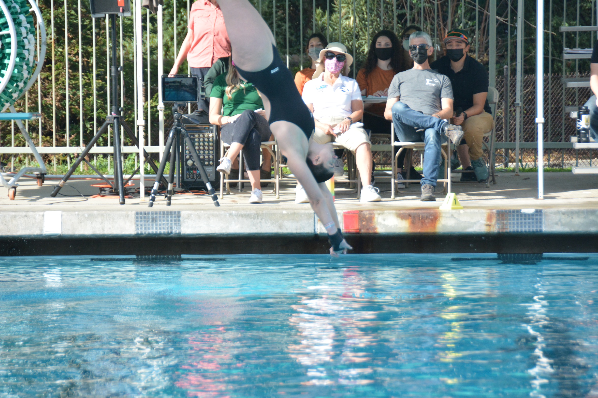 Swim and Dive finishes its season strong
