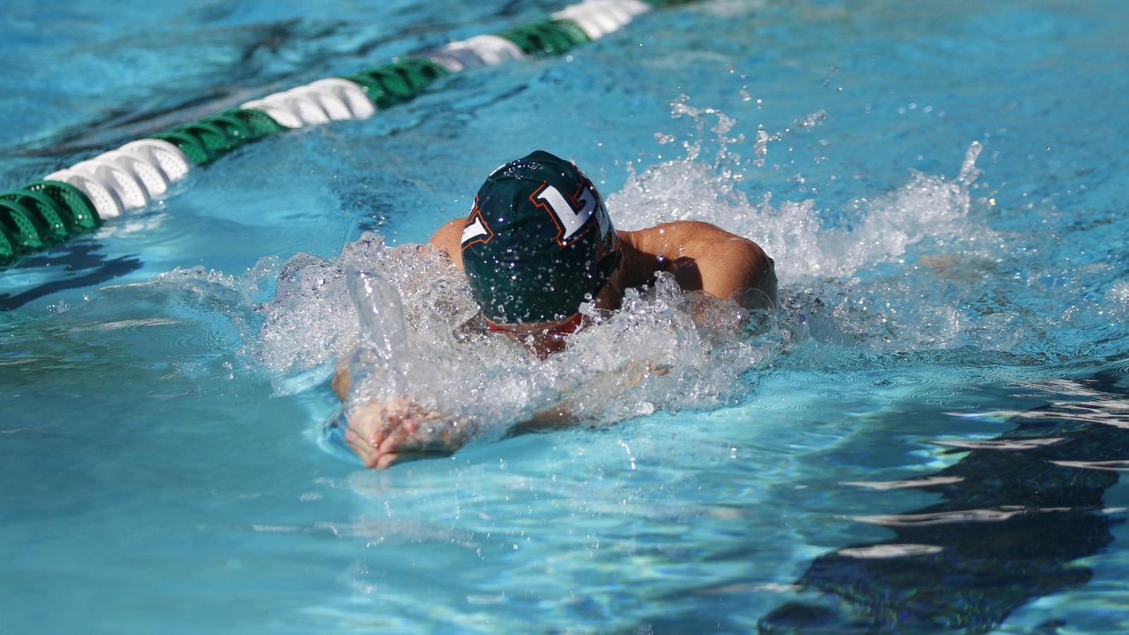 Swim and Dive Opens Home Comeptition