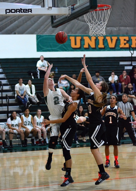 Leopards lose the battle to the Tigers