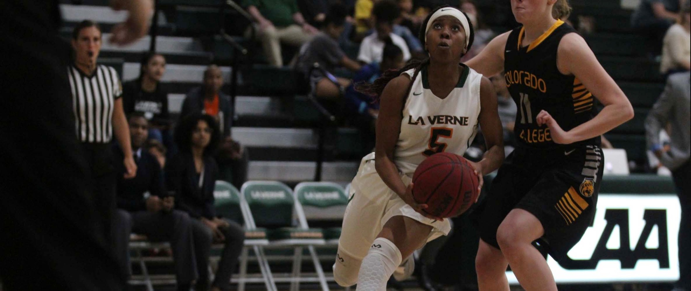 Leopards' comeback falls short