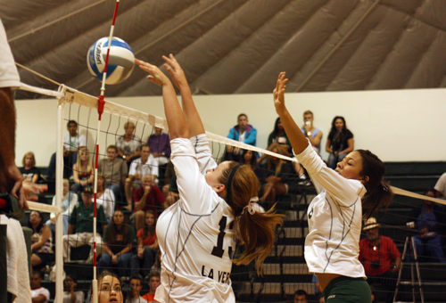 Leopards Topped By Tigers