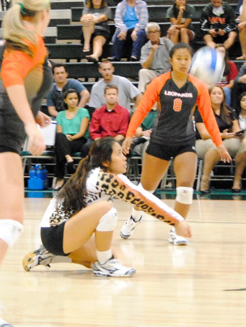 Leopards Register Sweep Over Poets