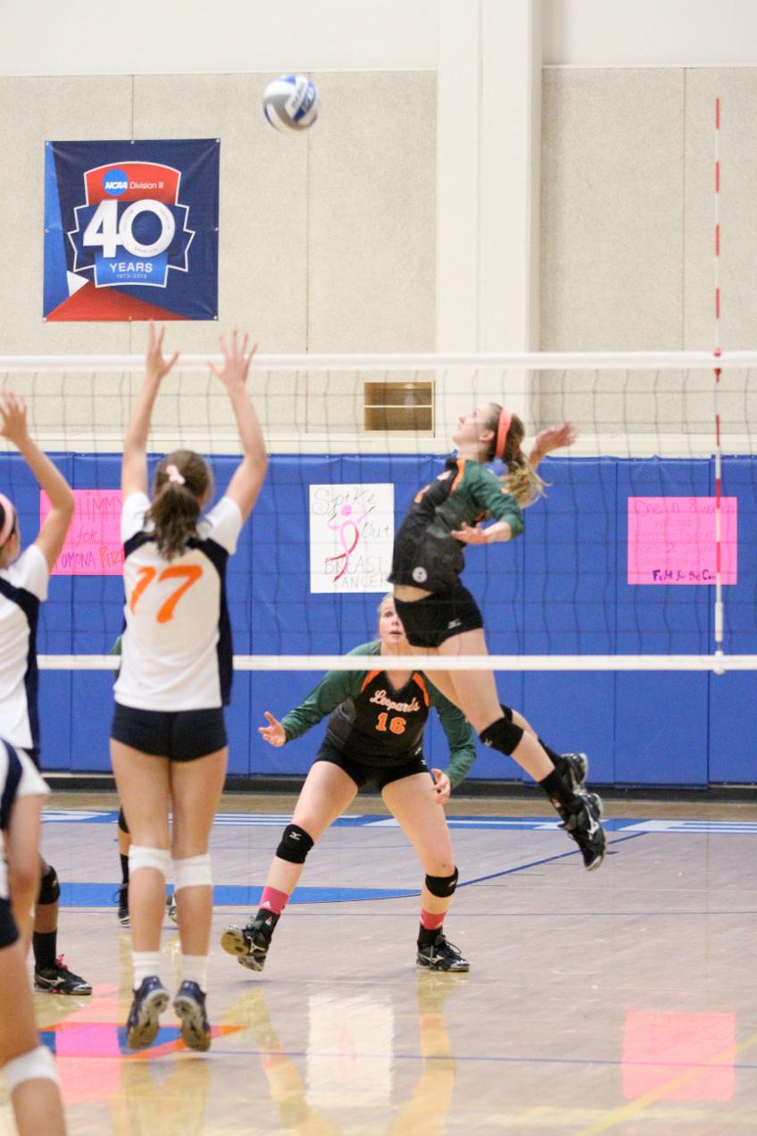 Leopard volleyball team stumbles on the road