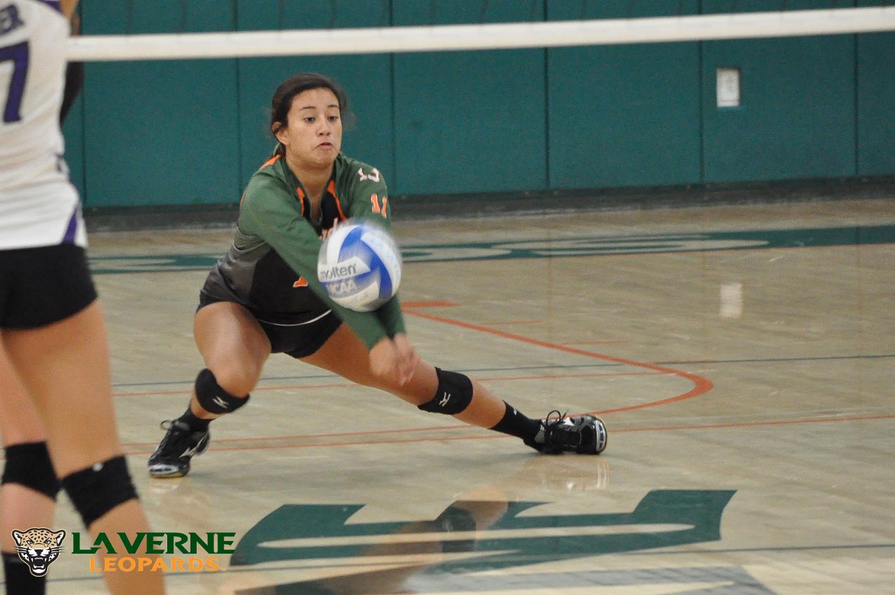 Leopard volleyball team defeated by Cal Lutheran