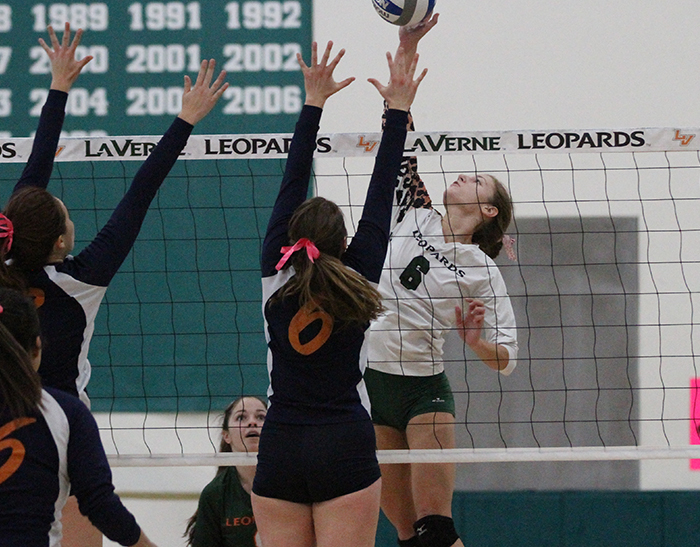 No. 23 Volleyball cruises past Caltech, Austin