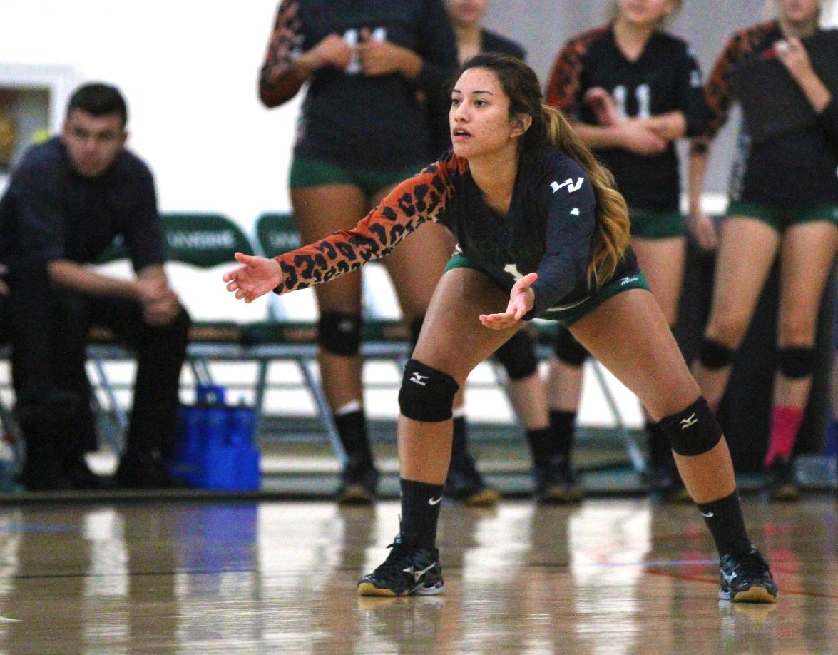No. 20 Volleyball sweeps UCSC, falls to No. 2 Juniata
