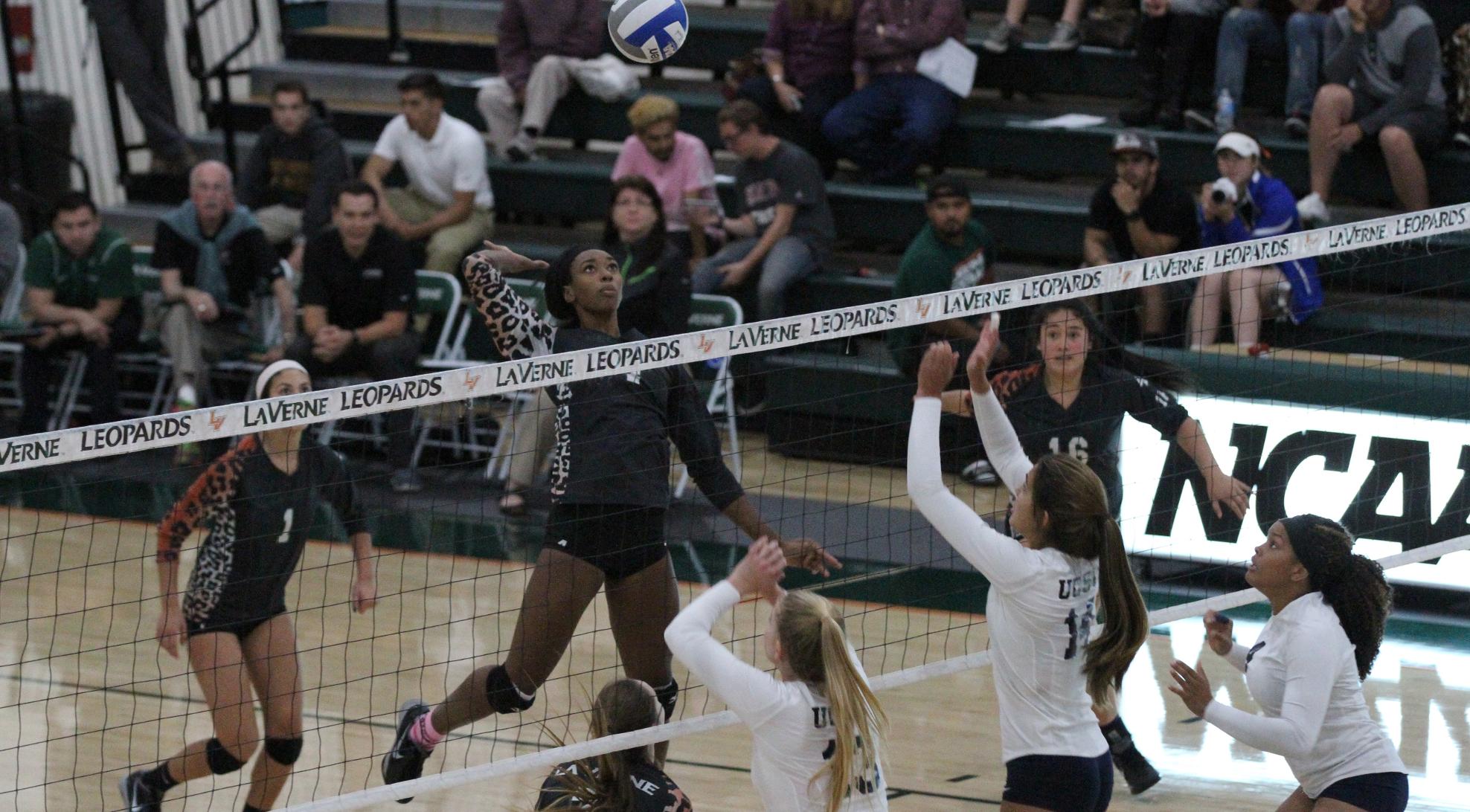 Volleyball defeats UC Santa Cruz, 3-0