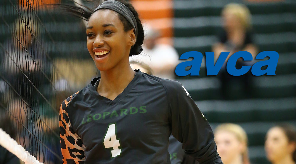 Robinson named to Third Team AVCA All-America
