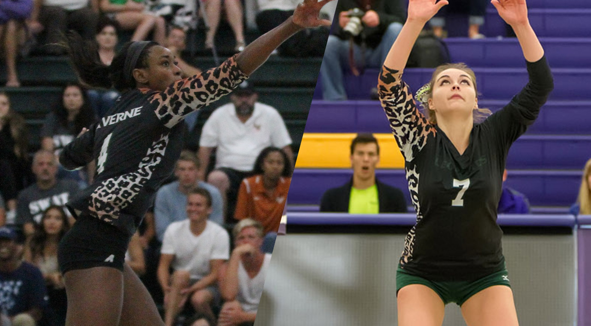Robinson, Mancuso named AVCA All-West Region