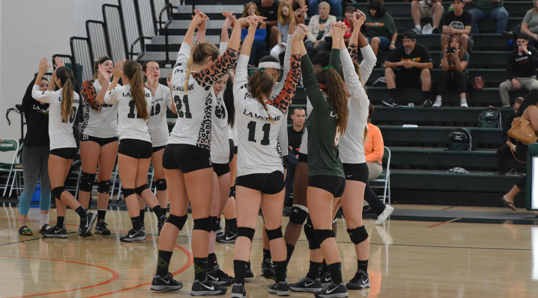 Volleyball tops Chapman, 3-1