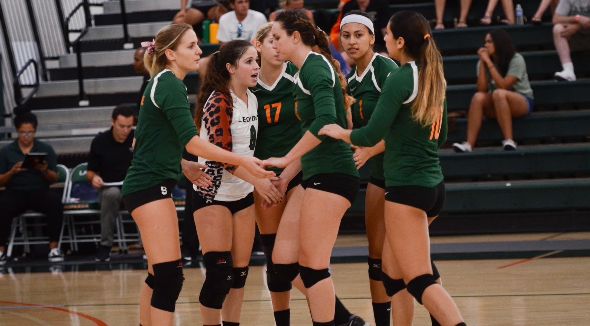 Volleyball moves to No. 14  in DIII rankings
