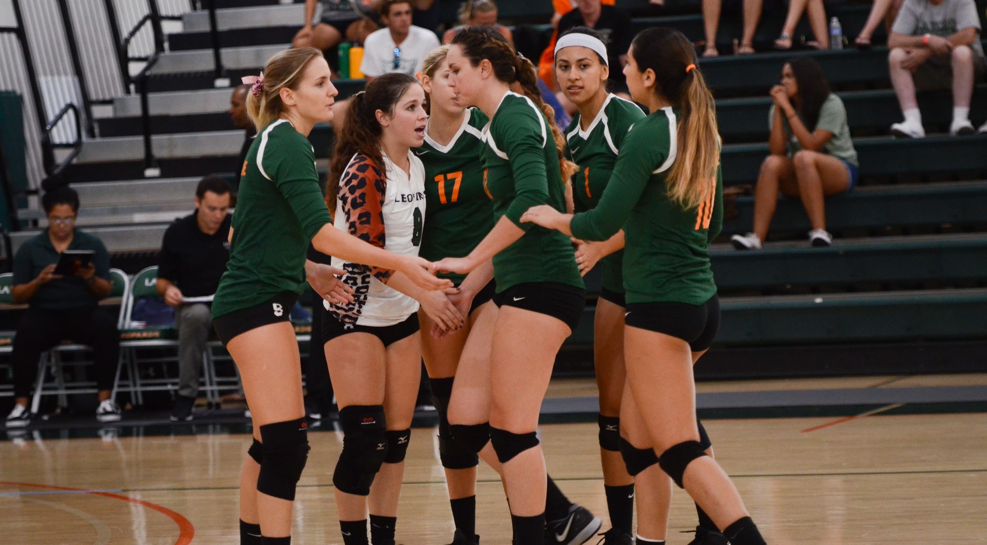 No. 15 Volleyball opens MIT Invite with win over Babson
