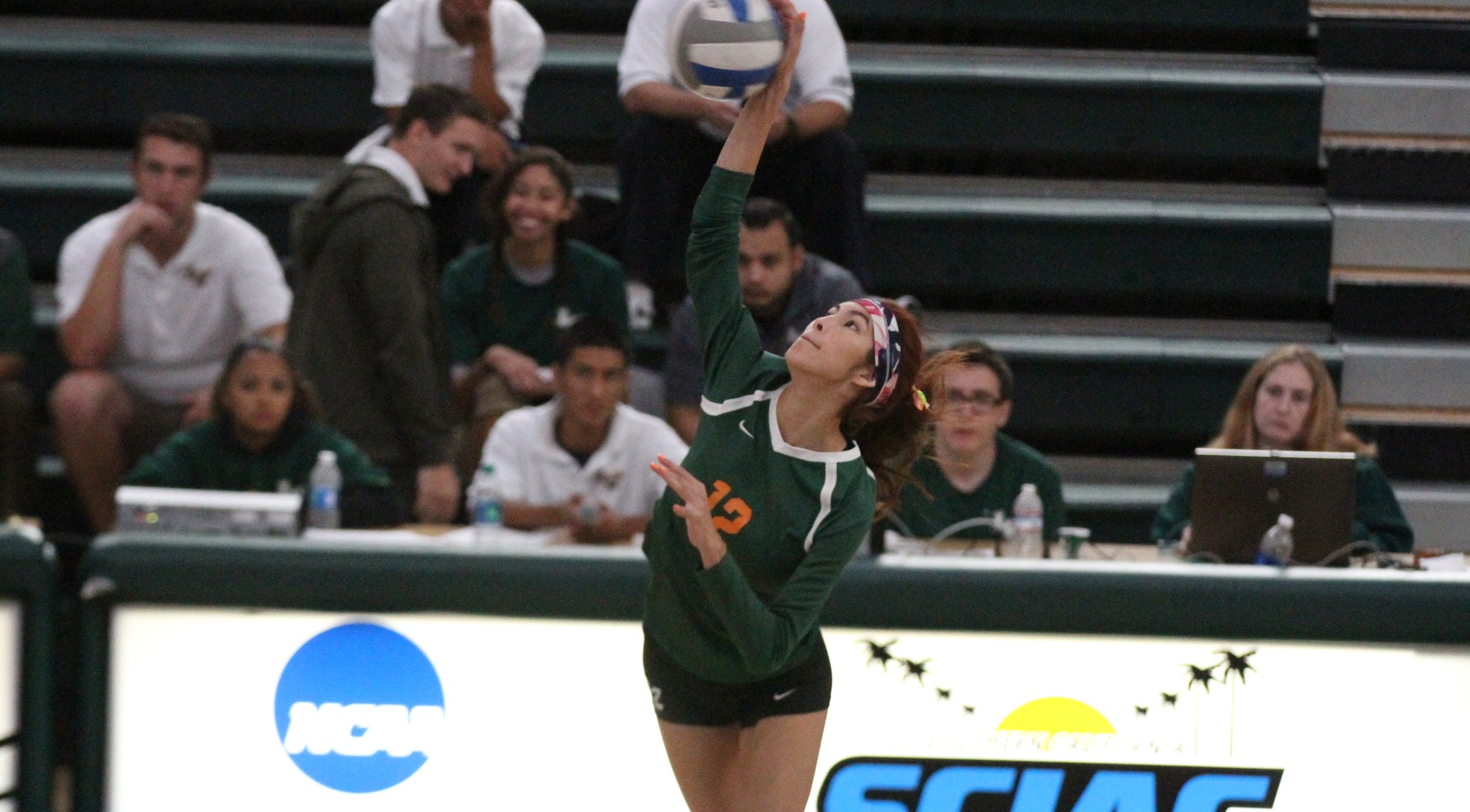 Leopards drop to Scranton in five