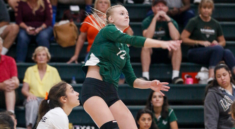 Leopards' Upset Bid Falls Short