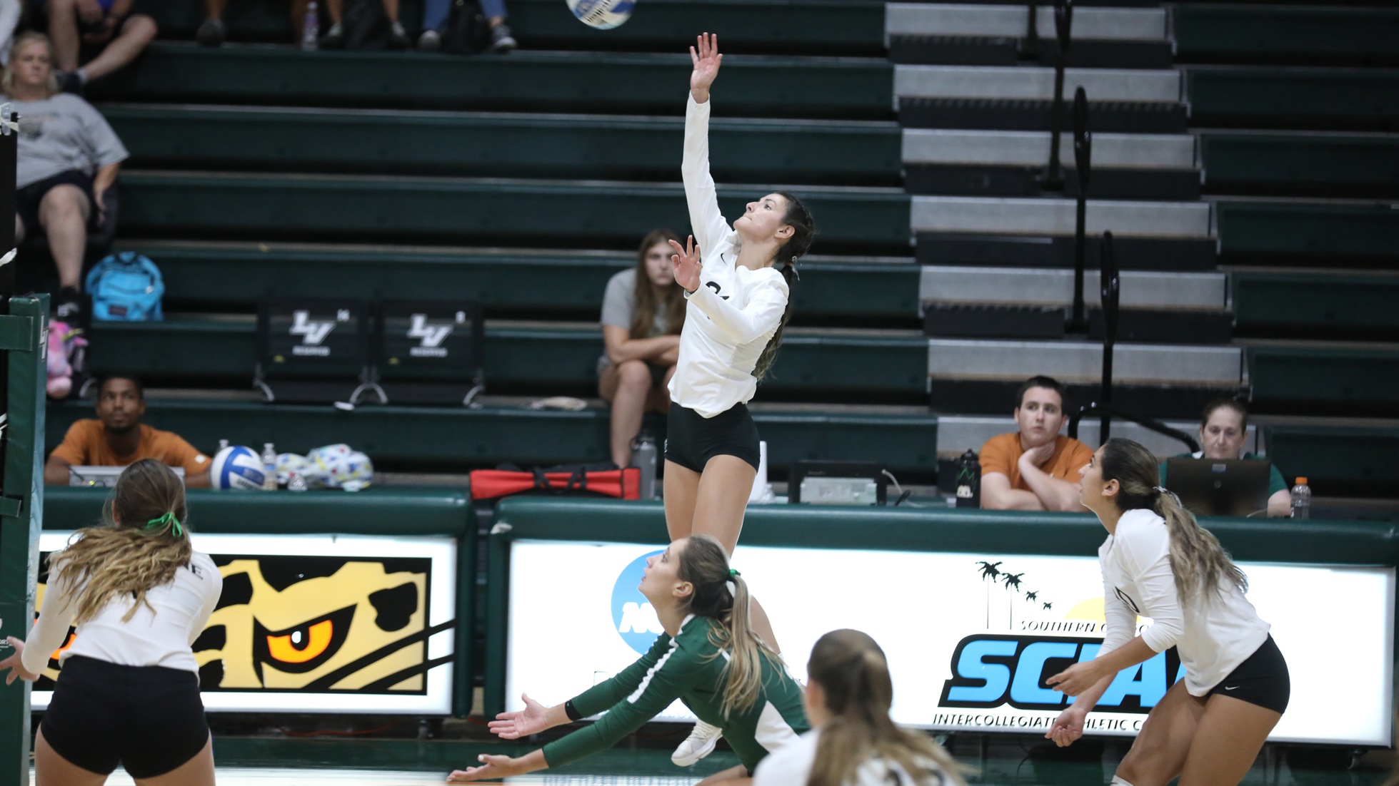 Volleyball Finishes Leo Invite 3-0