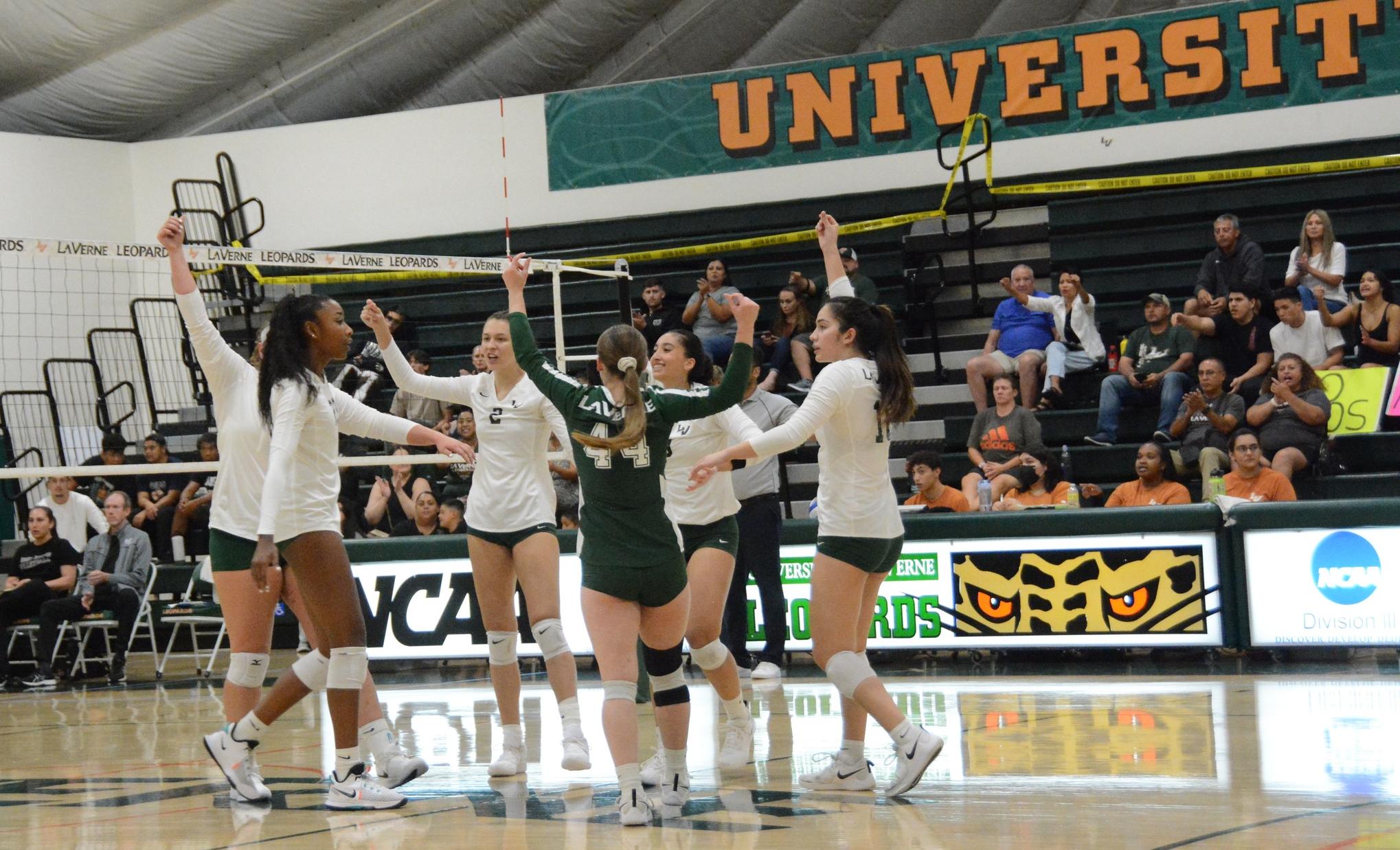 Leopards Sweep the Loggers