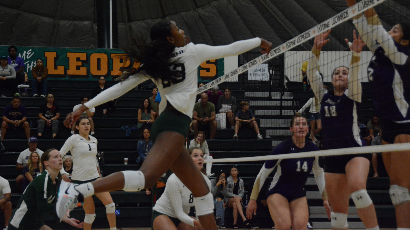 Leopards Defeat Poets On The Road