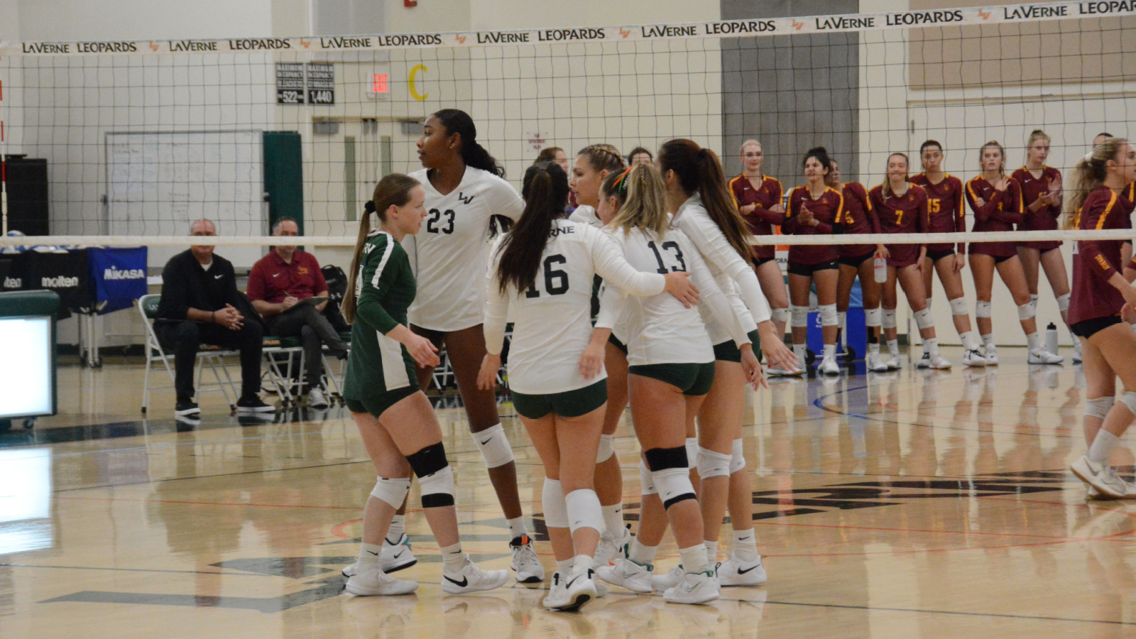 Leopards Do Battle With Sagehens