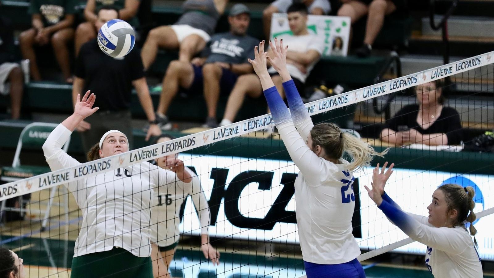 Leopards Sweep Sul Ross in 3