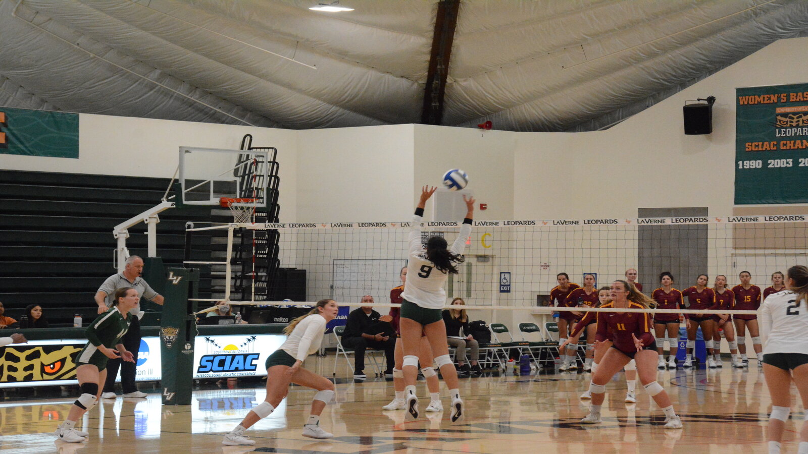 Leopards Sweep Tigers
