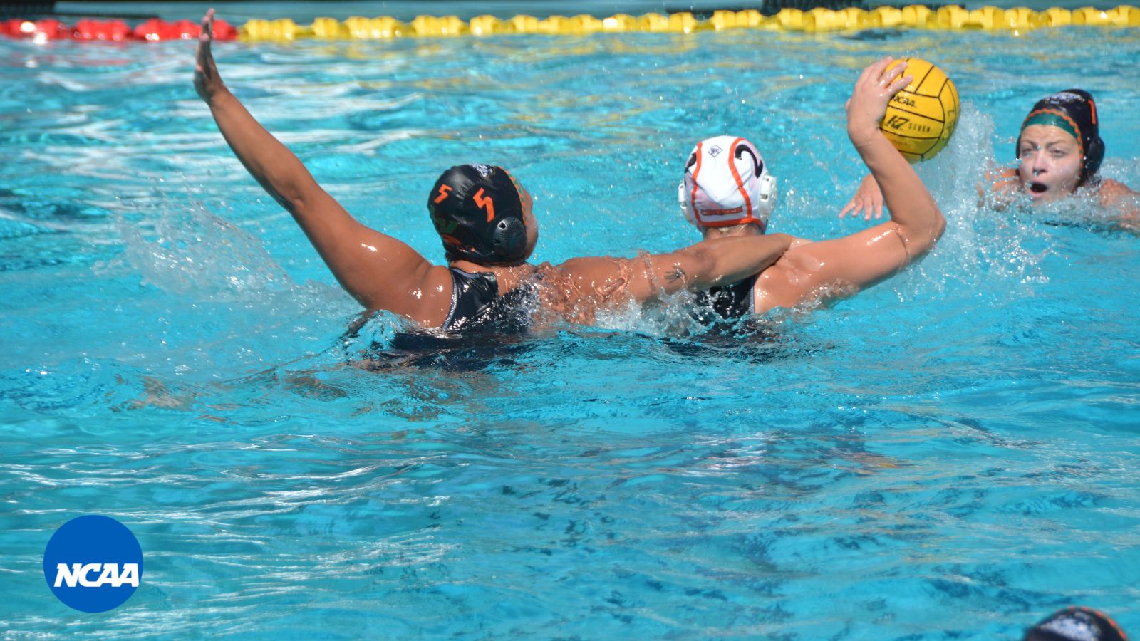 Leopards Dominate Beavers
